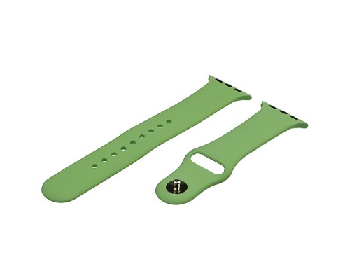 Ремешок силиконовый для Apple Watch Sport Band 38/ 40/ 41 mm размер L цвет 16